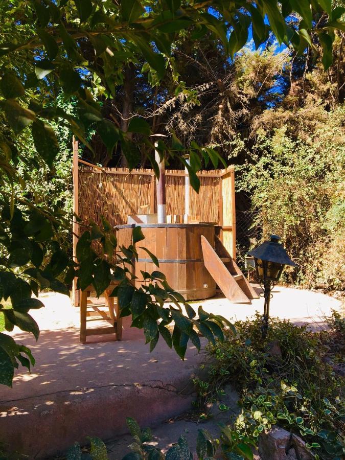 Bed & Breakfast El Encanto Del Manzano & Espacio Vittalia San Jose de Maipo