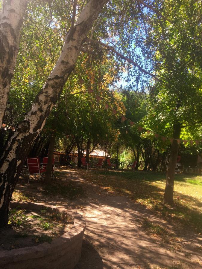 El Encanto Del Manzano *